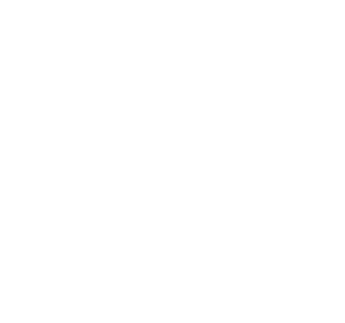 disc mark canonical white