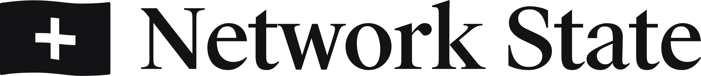 network state logo